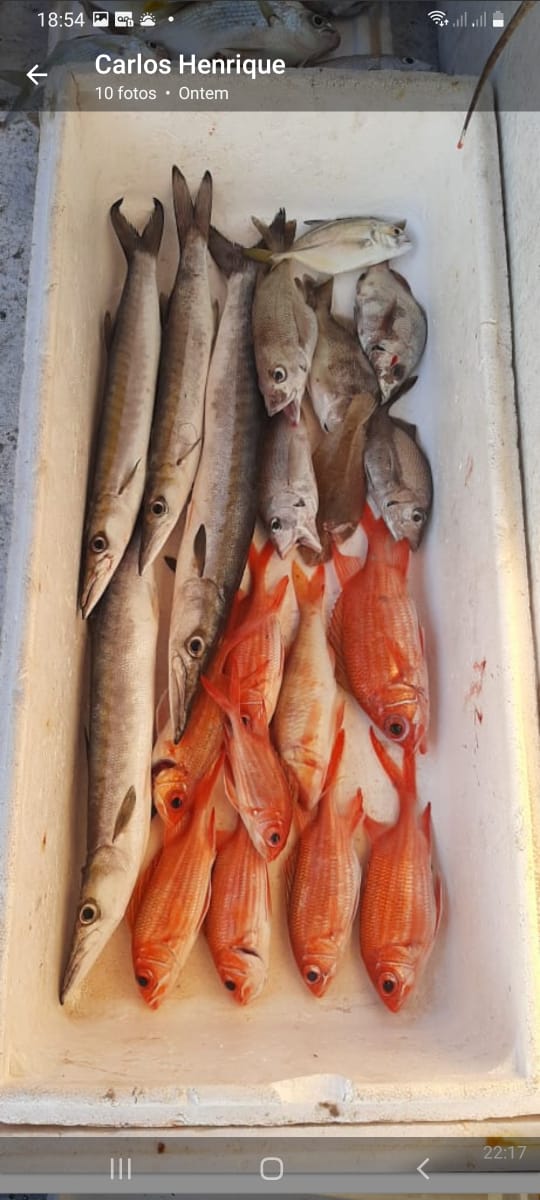 Barco Pesca Bertioga 05