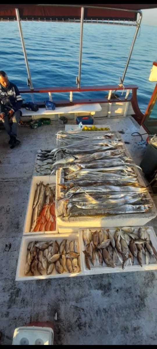 Barco Pesca Bertioga 06